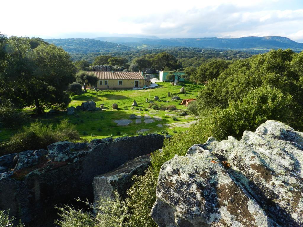 Chicchiritanos Bed and Breakfast Monti Esterno foto